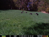 Enlarge photo 39