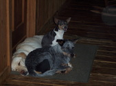 Enlarge photo 124