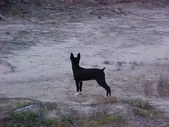 Enlarge photo 16