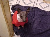 Enlarge photo 27