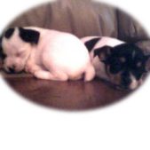 Enlarge photo 29