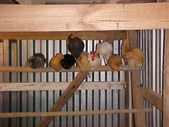 Enlarge photo 49