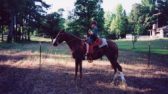 Enlarge photo 39
