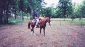 Enlarge photo 38