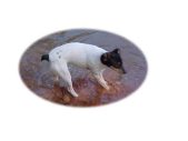Enlarge photo 14
