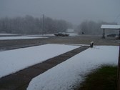 Snowday