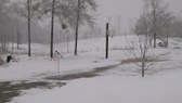 Enlarge photo 42