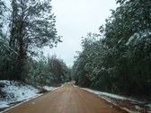 Enlarge photo 26