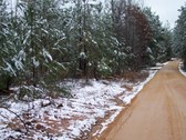 Enlarge photo 28