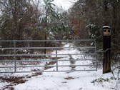 Enlarge photo 29