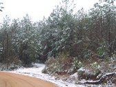 Enlarge photo 30