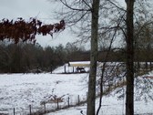 Enlarge photo 35