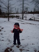 Enlarge photo 40