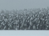 Enlarge photo 36