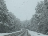 Enlarge photo 28