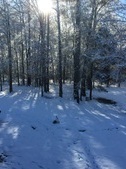 Enlarge photo 38