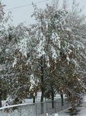 Enlarge photo 37
