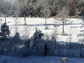 Enlarge photo 41