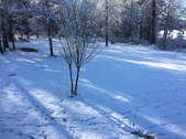 Enlarge photo 35