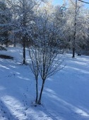 Enlarge photo 40