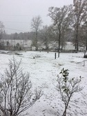 Snowdays in Alabama