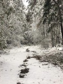 Enlarge photo 39
