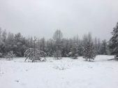 Enlarge photo 43