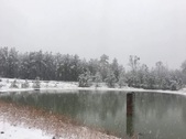 Enlarge photo 44