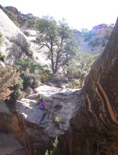 Enlarge photo 15