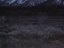 Enlarge photo 66