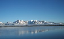Enlarge photo 39