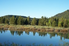 Enlarge photo 41