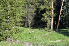 Enlarge photo 50
