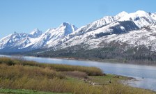 Enlarge photo 42