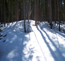 Enlarge photo 44