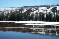 Enlarge photo 45