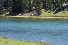 Enlarge photo 46