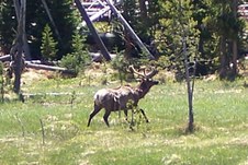 Enlarge photo 53