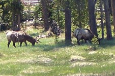 Enlarge photo 54