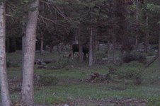 Enlarge photo 55