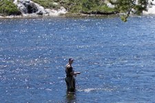 Enlarge photo 59