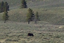 Enlarge photo 67