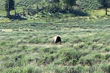 Enlarge photo 68