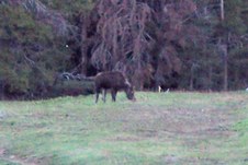 Enlarge photo 79