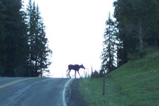 Enlarge photo 81