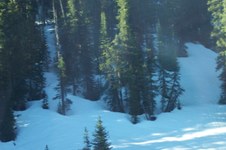 Enlarge photo 82