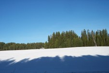 Enlarge photo 83