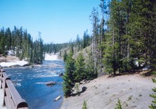 Enlarge photo 65