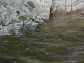 Enlarge photo 81