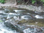 Enlarge photo 79